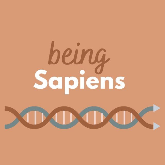 being sapiens